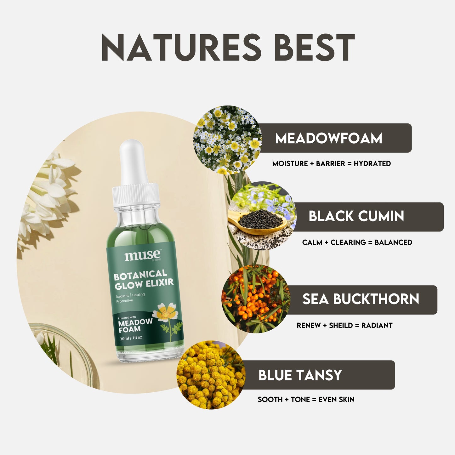 Botanical Glow Elixir – Anti-Aging Face Oil Serum for Hydrated, Radiant Skin