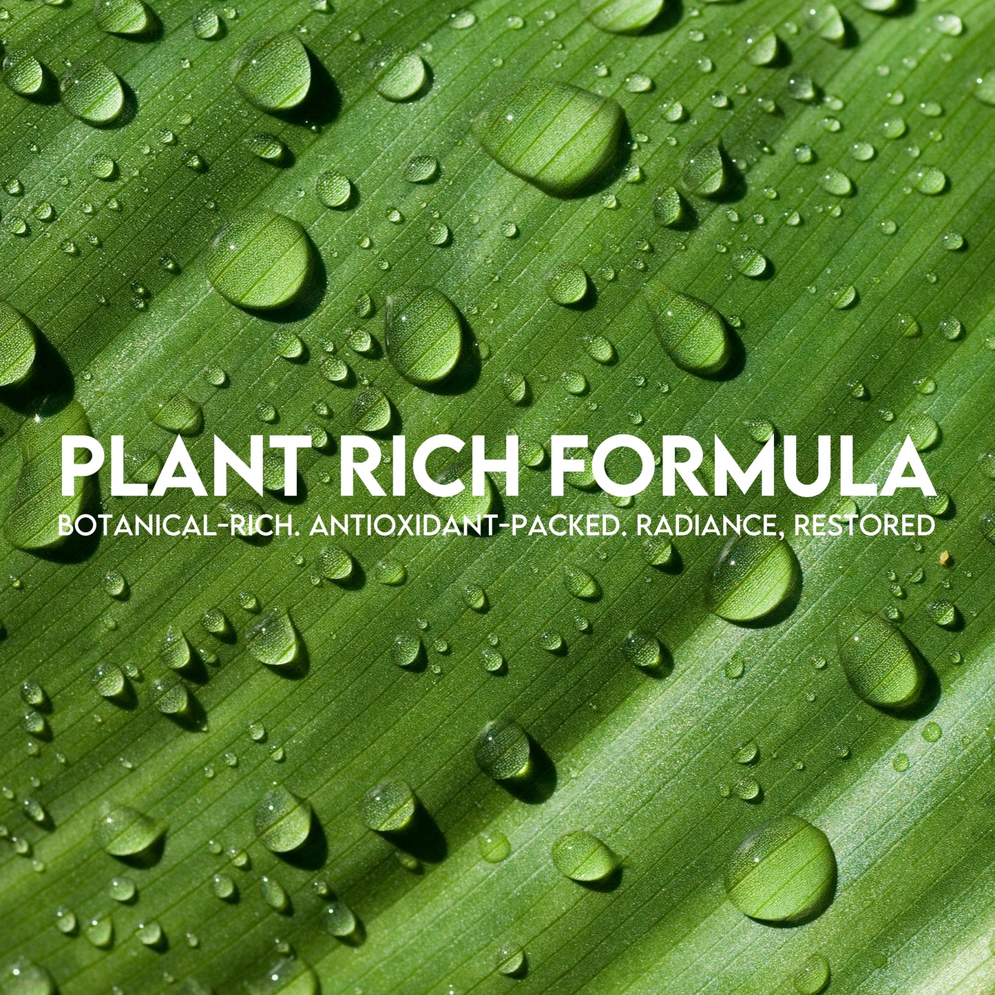Botanical Glow Elixir – Anti-Aging Face Oil Serum for Hydrated, Radiant Skin