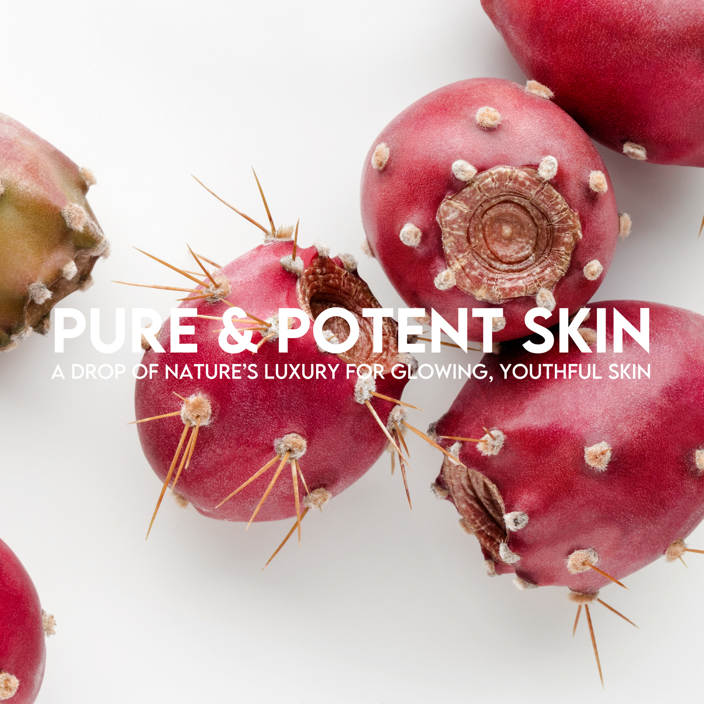 Prickly Pear Seed Oil - 100% Pure Organic Extra Virgin Oil, Cold Pressed Moisturizer for Face, Body & Hair