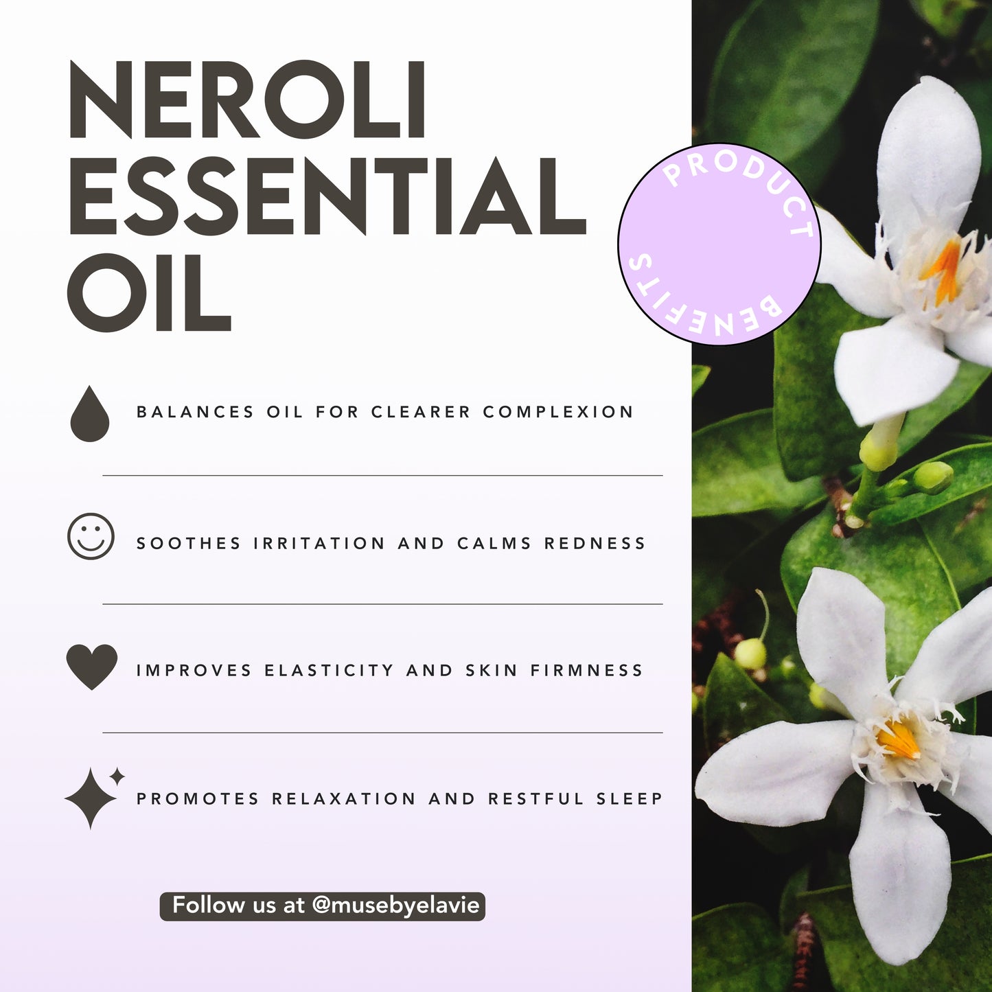 Advanced Night Serum – 1% Squalane for Deep Hydration & Skin Repair, Overnight Recovery for Fine Lines & Dryness