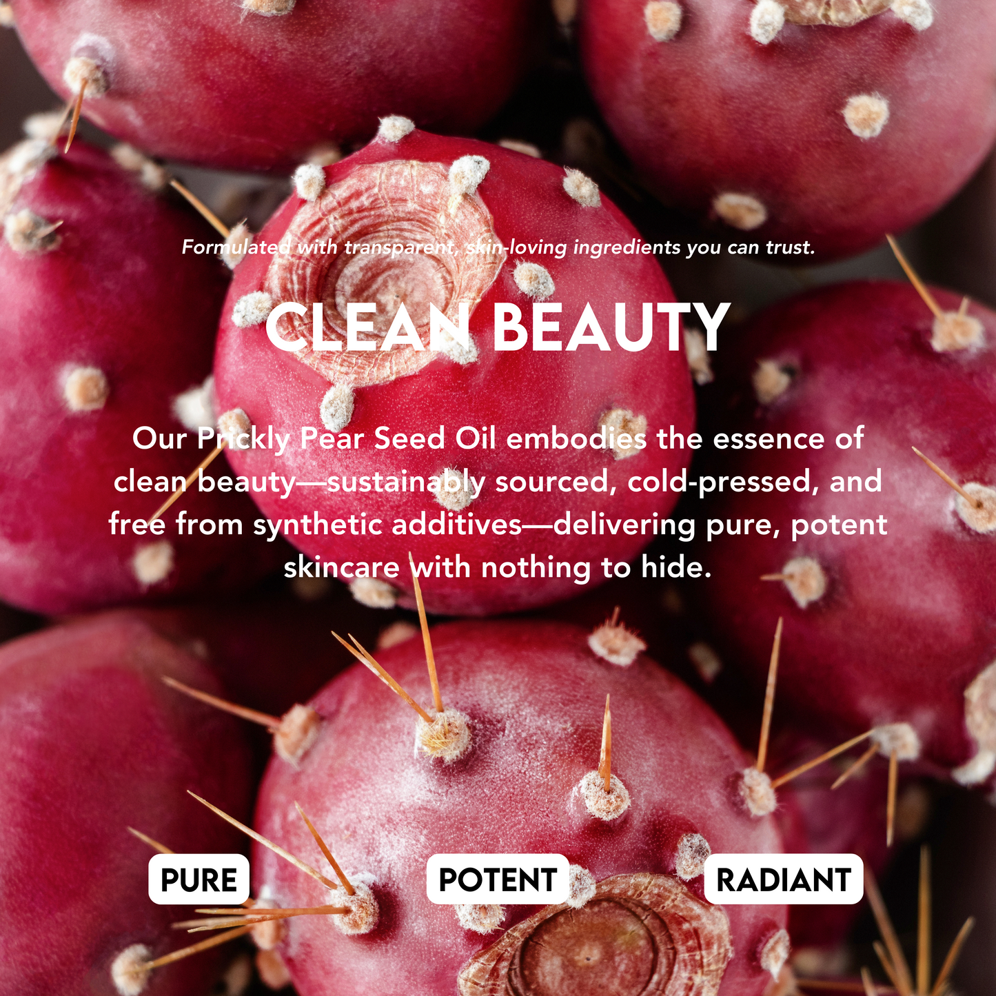 Prickly Pear Seed Oil - 100% Pure Organic Extra Virgin Oil, Cold Pressed Moisturizer for Face, Body & Hair