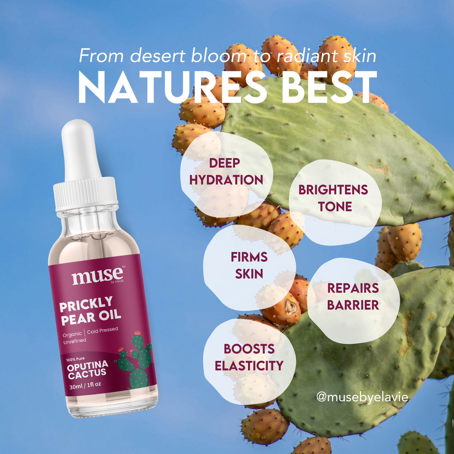 Prickly Pear Seed Oil - 100% Pure Organic Extra Virgin Oil, Cold Pressed Moisturizer for Face, Body & Hair